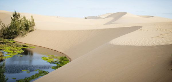 Tour du lịch Phan Thiết 2 ngày 1 đêm