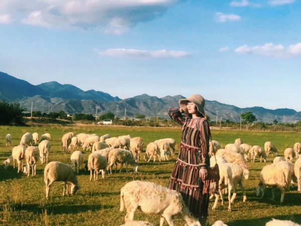 Tour Phan Rang Ninh Thuận 1 Ngày Từ Mũi Né