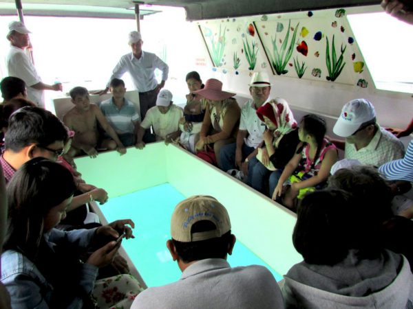 Tour Vĩnh Hy Bằng Tàu Đáy Kính - Tắm Lặn Biển Câu Cá Ngắm San Hô