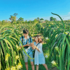 Du lịch Phan Thiết - Mũi Né 2 ngày giá tốt dịp Hè từ Sài Gòn - Ảnh 4