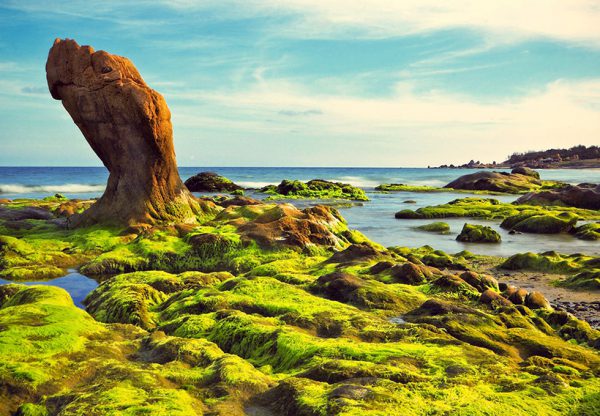 Tour du lịch Phan Thiết - Biển Cổ Thạch - Cù Lao Câu - Mũi Né - Núi Tà Kú