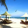 Tour Bình Châu – Phan Thiết 2N1Đ an toàn, giá tốt | Trải nghiệm cao cấp với xe Limousine - Ảnh 2