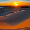 Tour du lịch Phan Thiết - Mũi Né - TEAM BUILDING - Ảnh 3