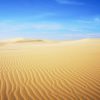 Tour du lịch Phan Thiết 2 ngày 1 đêm - Ảnh 2