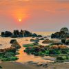 SÀI GÒN - MŨI NÉ XEM MẶT TRỜI MỌC - Ảnh 5