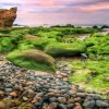 Tour Biển Cổ Thạch - Cù Lao Câu - Mũi Né - Phan Thiết - Ảnh 5